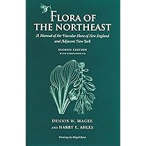 8158gbZ0f+L._AC_UL210_SR210,